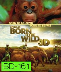 IMAX Born to be wild 3D มหัศจรรย์ชีวิตป่า