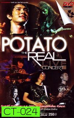 Potato The Real Live Concert บันทึกการแสดงสด โปเตโต้ เดอะ เรียล ไลฟ์ คอนเสิร์ต 
