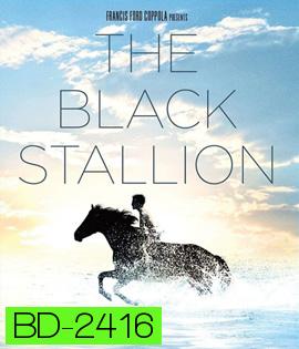 The Black Stallion (1979) อาชาเพื่อนยาก