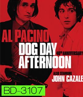 Dog Day Afternoon (1975) ปล้นกลางแดด