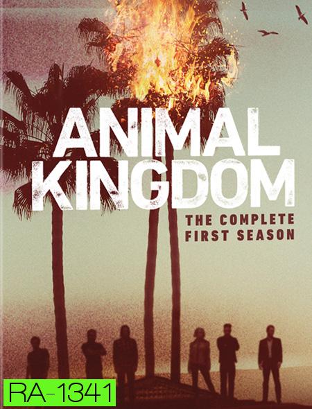 Animal Kingdom : The Complete 1st Season ตระกูลชั่ว ครอบครัวโจร ปี 1 ( 10 ตอนจบ )