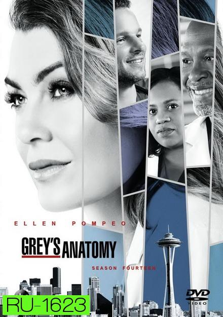 Grey's anatomy Season 14 แพทย์มือใหม่หัวใจเกินร้อย ปี 14 ( 24 ตอนจบ )