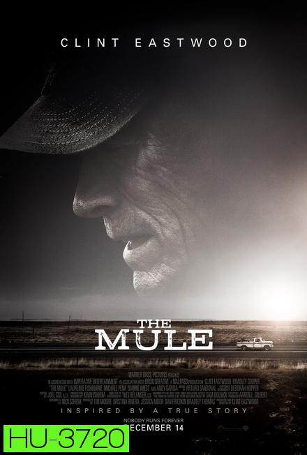 The Mule (2018)  เดอะ มิวล์