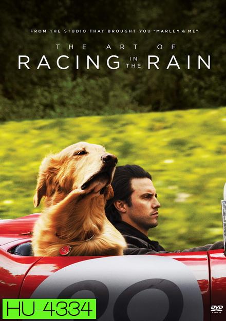 The Art of Racing in the Rain (2019) อุ่นไอหัวใจตูบ