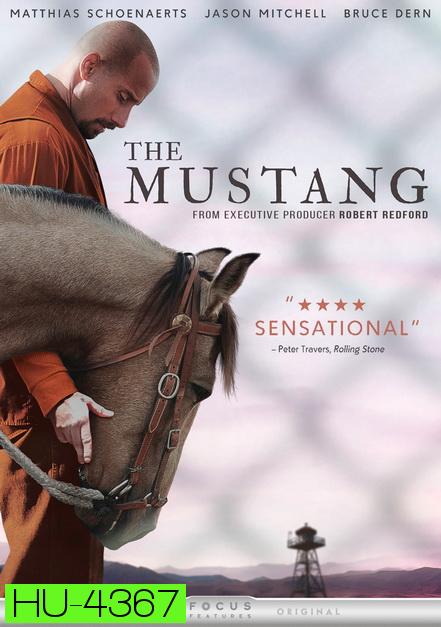 The Mustang (2019)