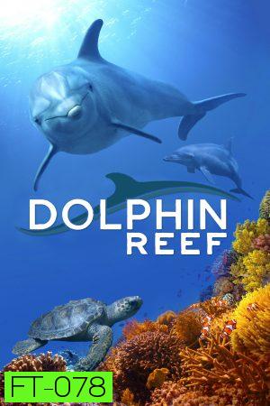Dolphin Reef Disney อัศจรรย์ชีวิตของโลมา (2020)