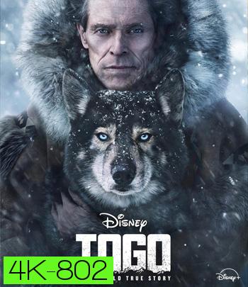 4K - Togo (2019) โตโกหมาป่ายอดนักสู้ - แผ่นหนัง 4K UHD