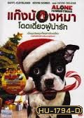Alone for Christmas แก๊งน้องหมาโดดเดี่ยวผู้น่ารัก