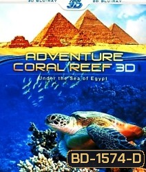 Coral Reef Adventure 3D
