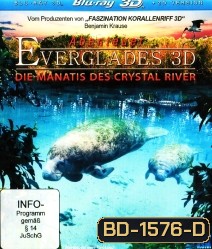 Abenteuer Everglades 3D - Die Manatis des Crystal River