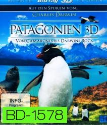 Patagonia Von Camarones Bis Darwins Rock 3D