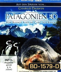Patagonia: Buenos Aires to Cabo Dos Bahias (3D)