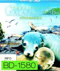 Faszination Galapagos 3D - Südamerika