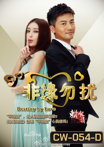 Destiny By Love แผนรักสยบเพลย์บอย