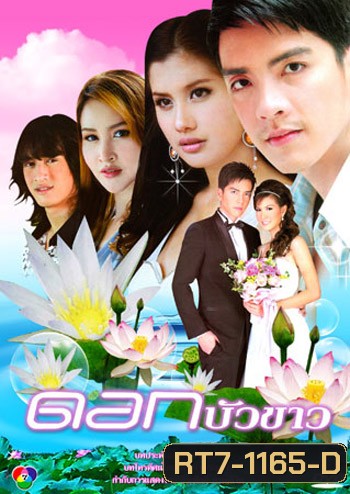 ดอกบัวขาว ( 12 ตอนจบ )