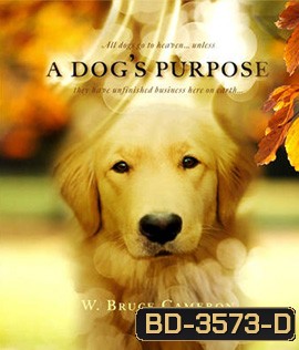 A Dog's Purpose (2017) หมา เป้าหมาย และเด็กชายของผม