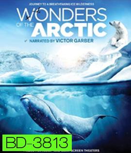 Wonders of the Arctic (2014) 2D+3D