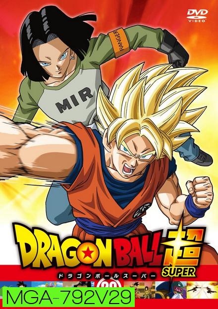 Dragon Ball Super Vol.29
