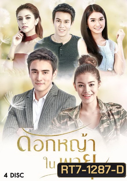 ดอกหญ้าในพายุ ( 16 ตอนจบ + EXTRA )