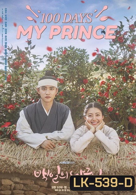 100 Days My Prince ( 16 ตอนจบ )