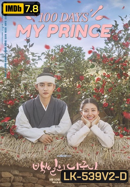 100 Days My Prince รัก 100 วันของฉันและองค์ชาย ( 16 ตอนจบ )