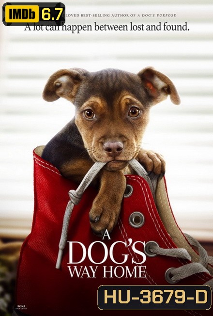 A Dog's Way Home (2019) เพื่อนรักผจญภัยสี่ร้อยไมล์