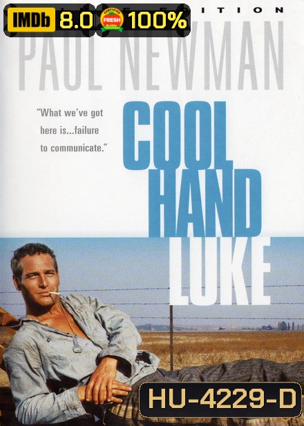 Cool Hand Luke (1967) คนสู้คน