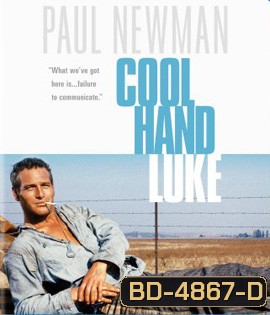 Cool Hand Luke (1967) คนสู้คน