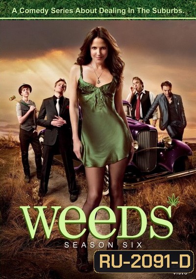 Weeds Season 6 : หม่ายชุลมุน ปี 6