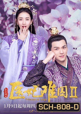 Princess at Large 2 พระชายาลอยนวล 2