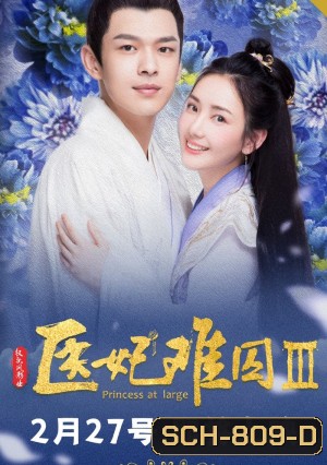 Princess at Large 3 พระชายาลอยนวล 3