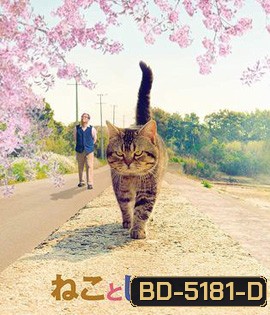 The Island of Cats (2019) แมวเหมียวกับคุณลุง