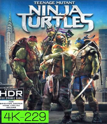 4K - Teenage Mutant Ninja Turtles (2014) เต่านินจา - แผ่นหนัง 4K UHD