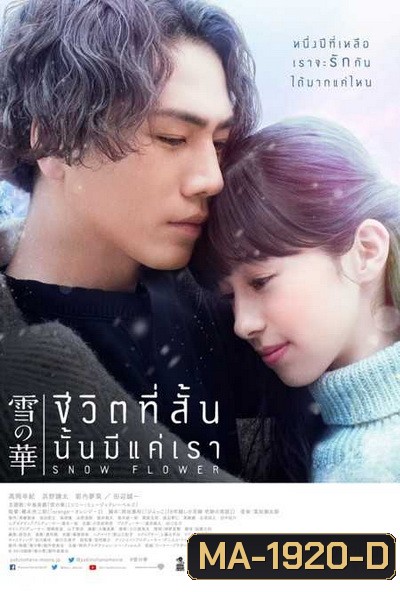 Snow Flower ชีวิตที่สั้นนั้นมีแค่เรา