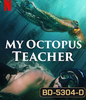 My Octopus Teacher (2020) บทเรียนจากปลาหมึก
