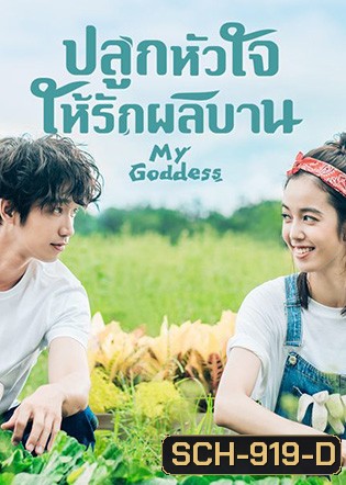 My Goddess (2018) ปลูกหัวใจให้รักผลิบาน