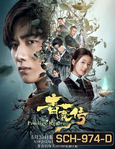 Prodigy Healer (2019) หมออัจฉริยะ ( 36 ตอนจบ )