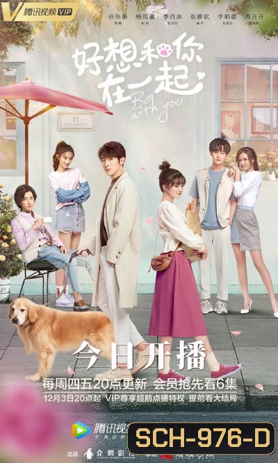 ละลายรักนายมาดนิ่ง Be With You [ EP.1-24 END ]
