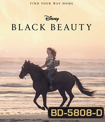 Black Beauty (2020)
