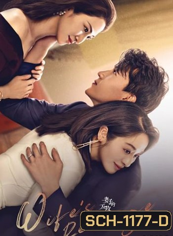 Wife's Revenge ปมรักแรงแค้น (24 ตอนจบ)