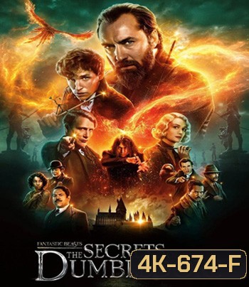 4K - Fantastic Beasts: The Secrets of Dumbledore (2022) สัตว์มหัศจรรย์ ความลับของดัมเบิลดอร์ - แผ่นหนัง 4K UHD
