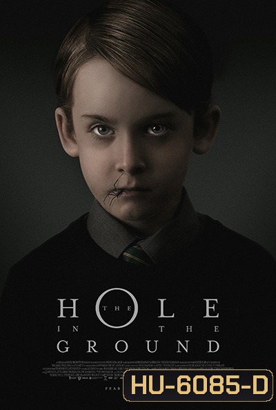 The Hole in the Ground (2019) มันมากับหลุมมรณะ