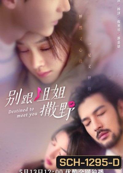 Destined to meet you (2022) เดสทินี รักนี้พี่ขอ (20 ตอนจบ)