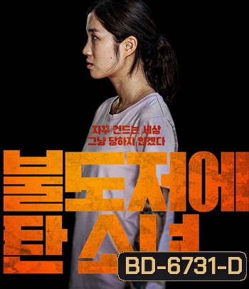 The Girl on a Bulldozer (2022)