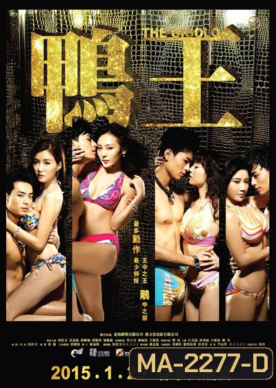 The Gigolo (2015) เสน่ห์รักหนุ่มจิ๊กโกโล่
