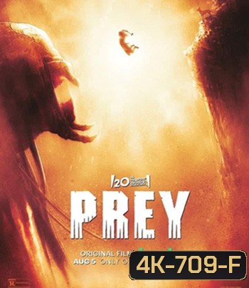 4K - Prey (2022) ผู้ล่า มหากาฬ - แผ่นหนัง 4K UHD