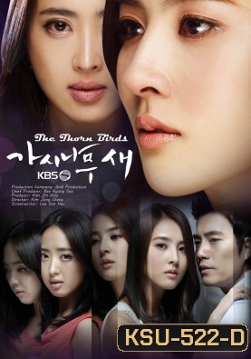 The Thorn Birds (Thorn Tree Bird / The Thorn Bush Bird)