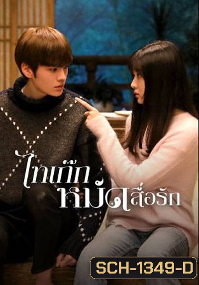 Sweet Tai Chi (2019) ไทเก๊กหมัดสื่อรัก (24 ตอนจบ)