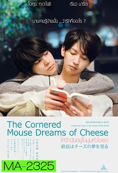 The Cornered Mouse Dreams of Cheese (2020) ให้รักฉันอยู่ในมุมหัวใจเธอ