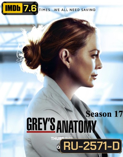 Grey's anatomy Season 17 แพทย์มือใหม่หัวใจเกินร้อย ปี 17 (17 ตอนจบ)